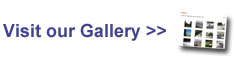 visit our website gallery here