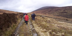 Orienteering 