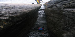 Summer Camps 2010